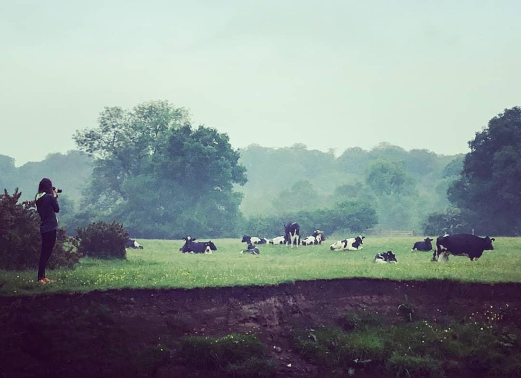 Putting the Human Back into Human&nbsp;Being