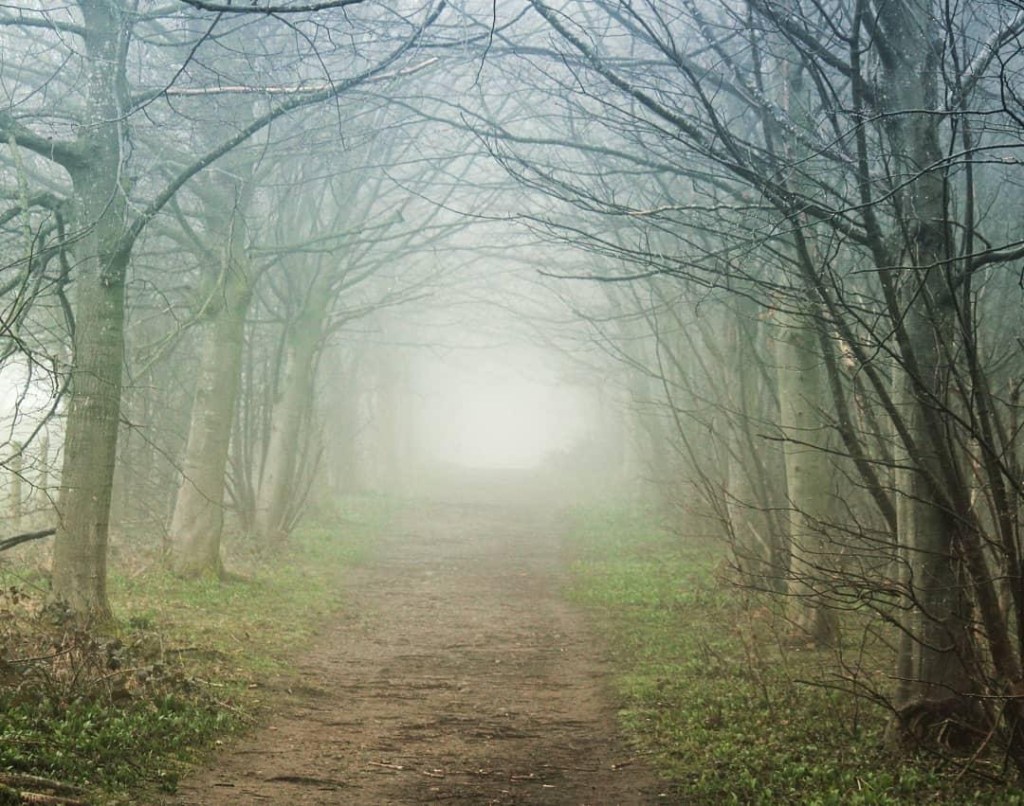 The Path Under the&nbsp;Roots