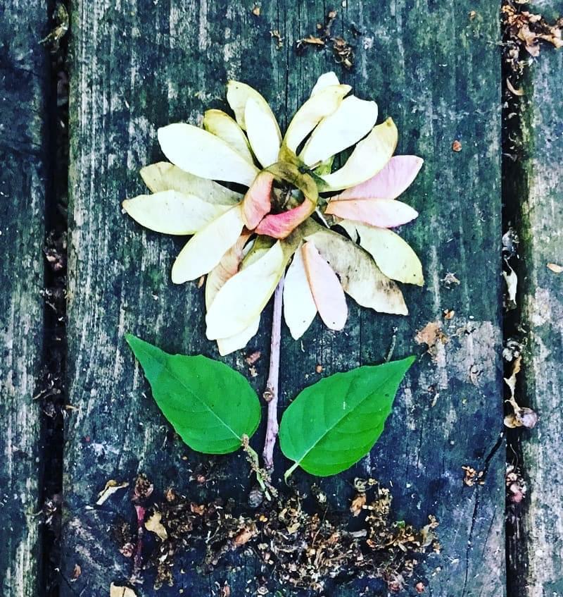 Wild Art Wednesday: The Art of Playing With&nbsp;Nature