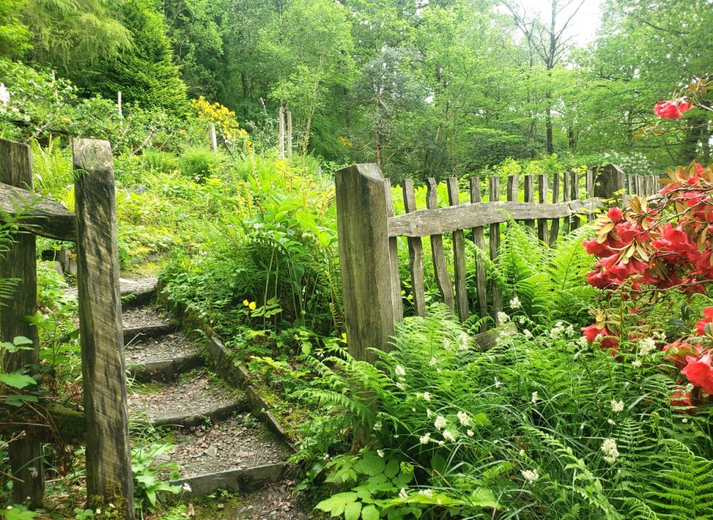 The Conversation Between Light and&nbsp;Leaf