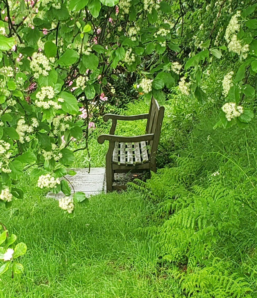 The Quiet Cure: On Thoreau, Mary Oliver, and what science and poetry reveal about the healing power of&nbsp;simplicity