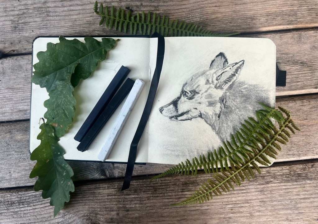 Whispers of the Wild: How Intuition Blossoms in Nature’s&nbsp;Silence