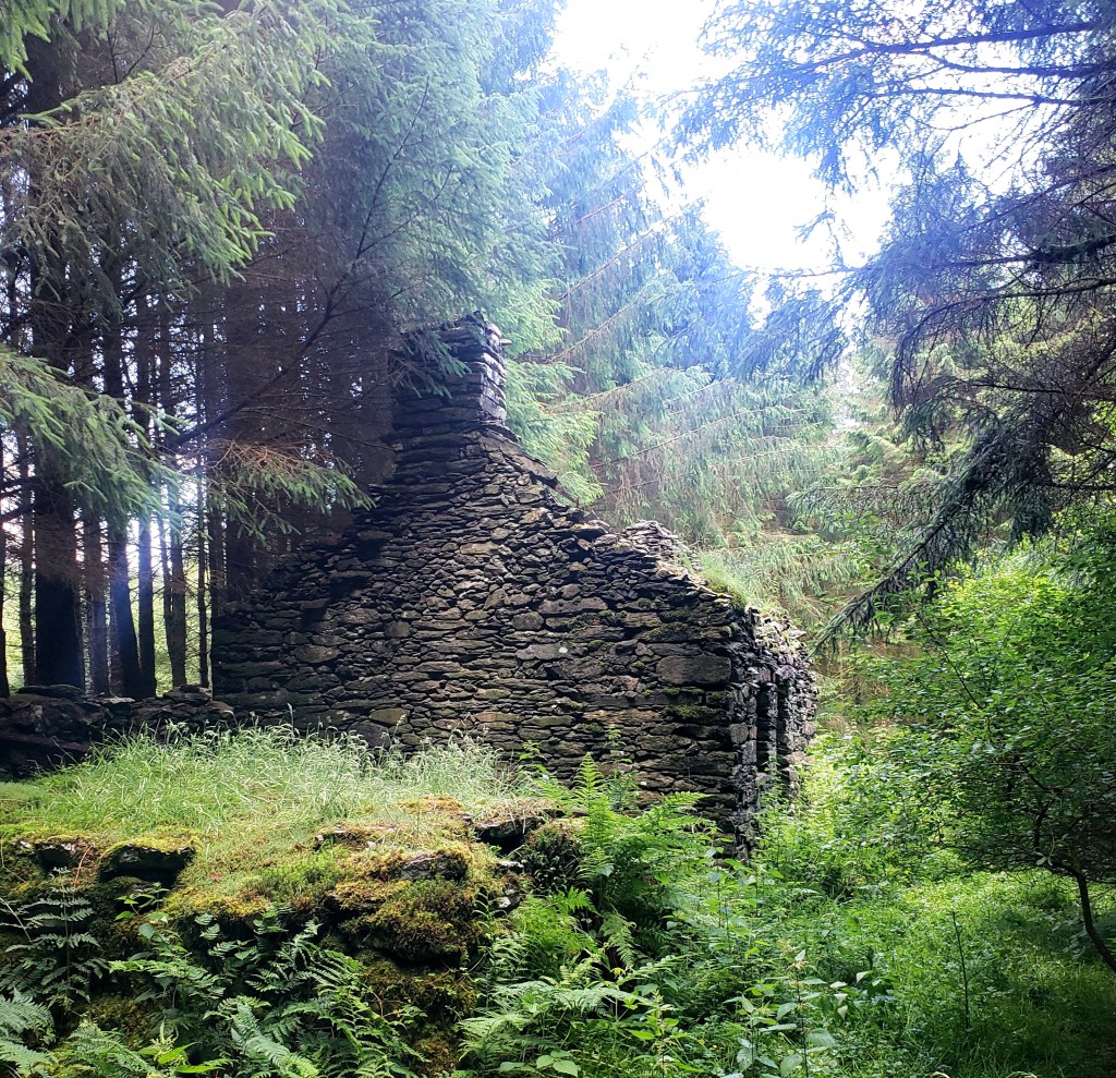 The Woman at the Edge of the&nbsp;Wood