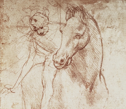 Carried by the&nbsp;Wild