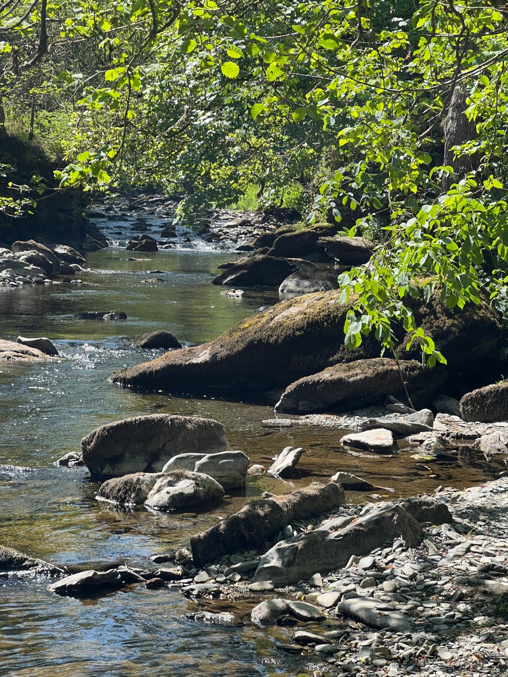 Letting the River Carry Us: Michael A. Singer and the Surrendered&nbsp;Life