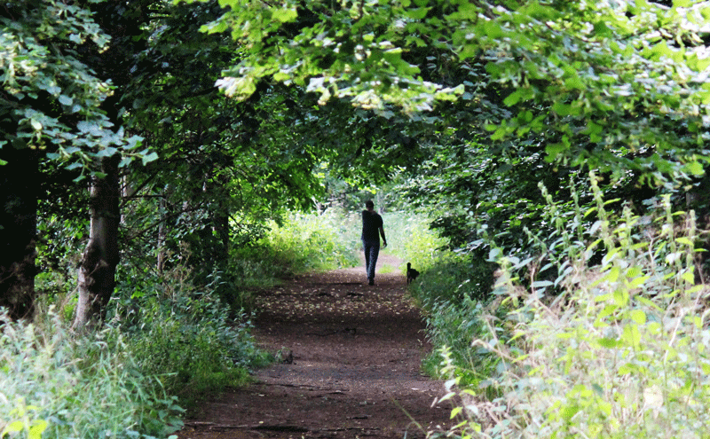 The Invisible Companionship of&nbsp;Solitude