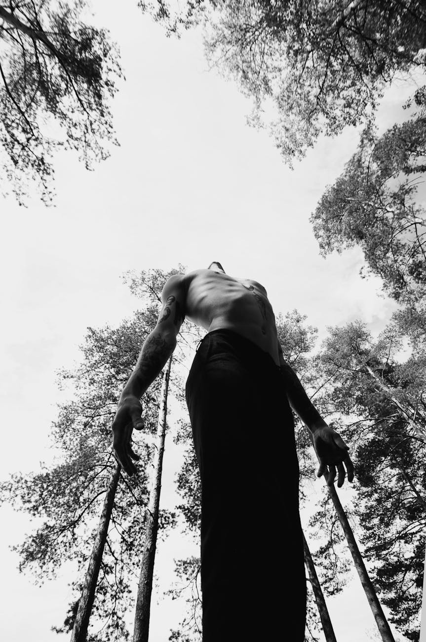 On Having No Head: A Way of Seeing with the&nbsp;World