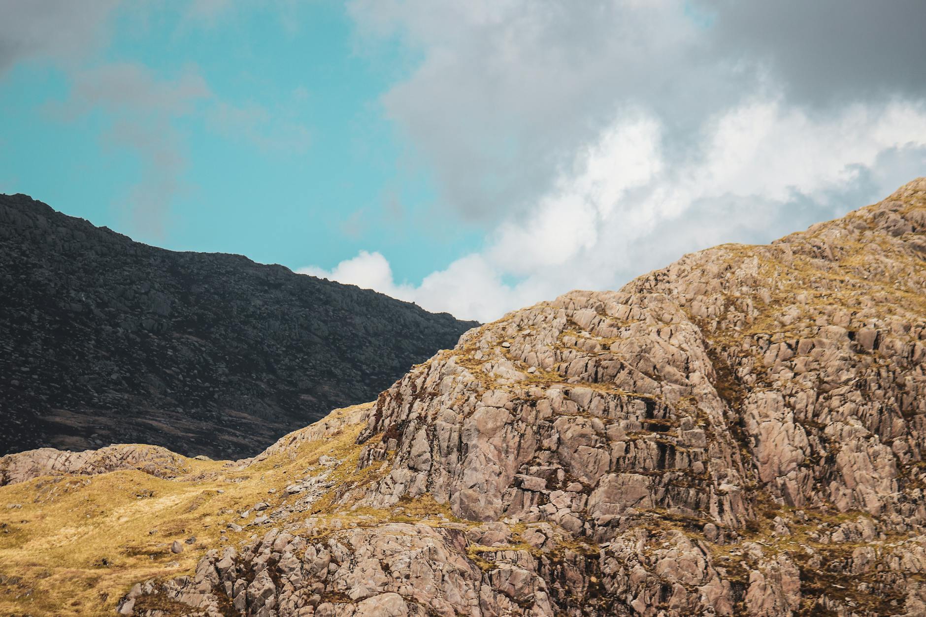 The Living Mountain – A Book That Breathes the Hills