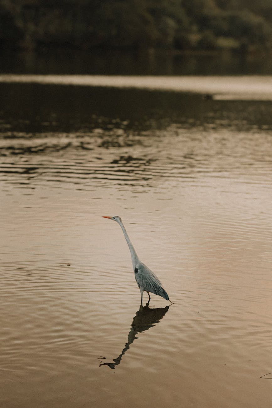 The Quiet Skill of Doing Nothing