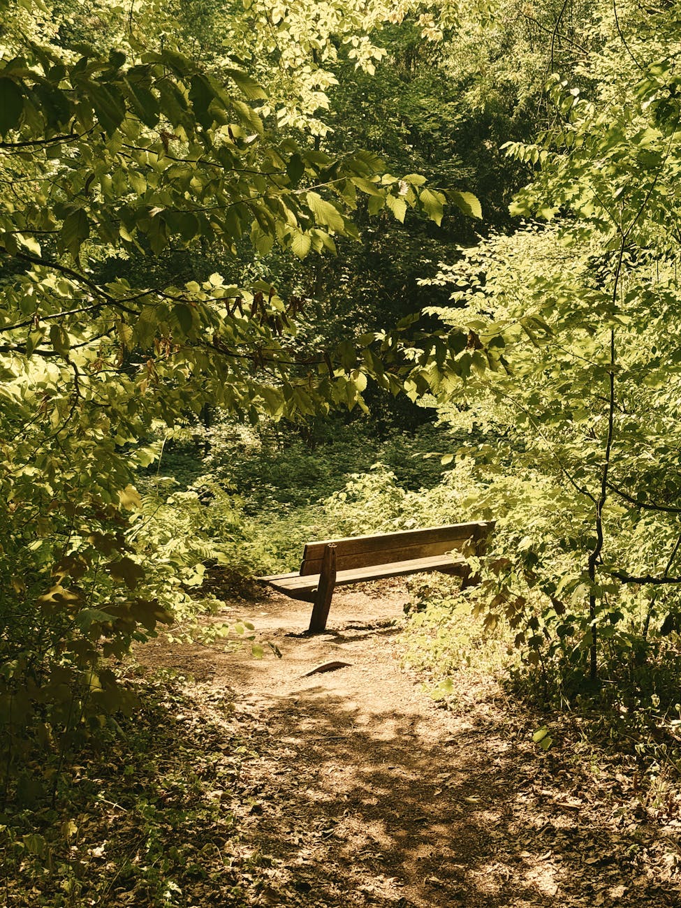 The Bench I Never Sit&nbsp;On