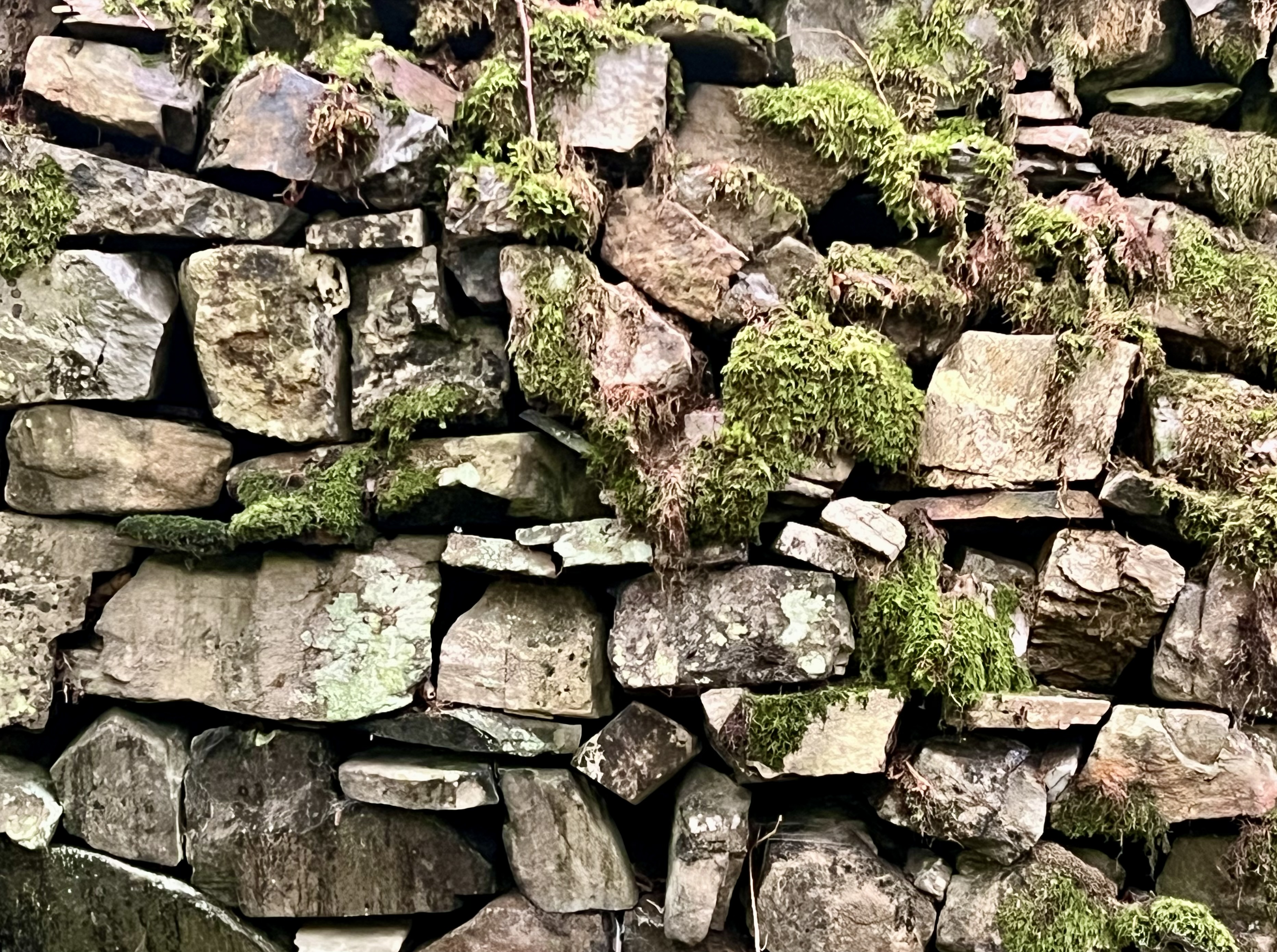 The Wall That Breathes