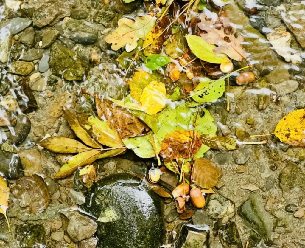 Returning to the&nbsp;Pattern