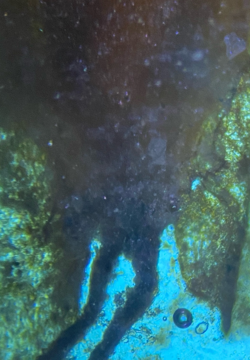Beneath the Surface