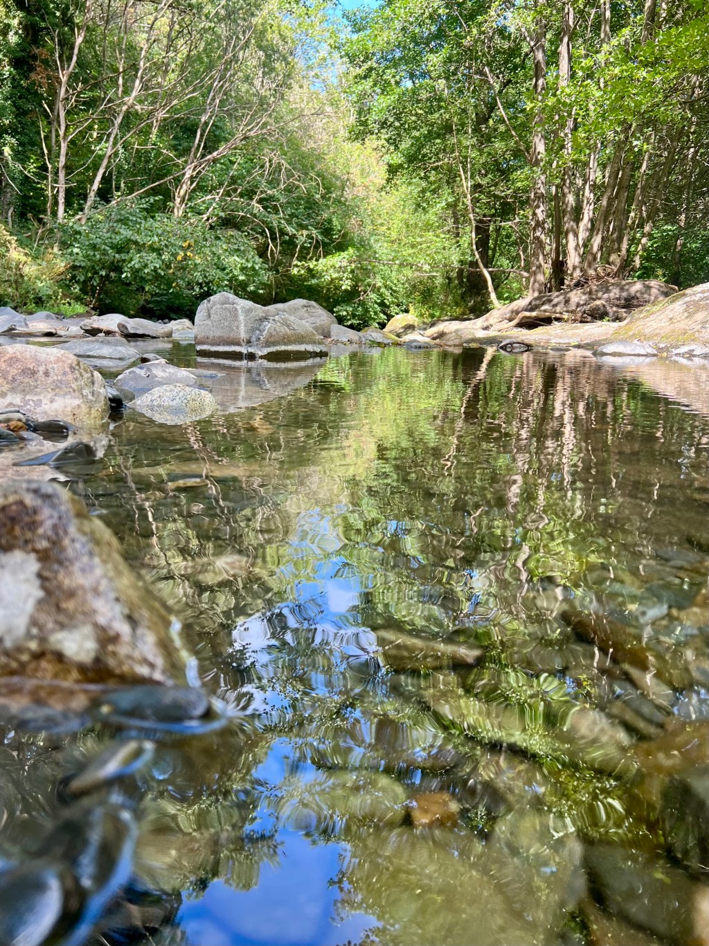 The Year That Was Not&nbsp;Wasted