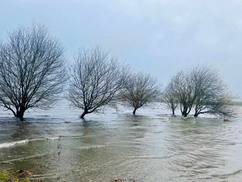 The Strength That Grows&nbsp;Underwater