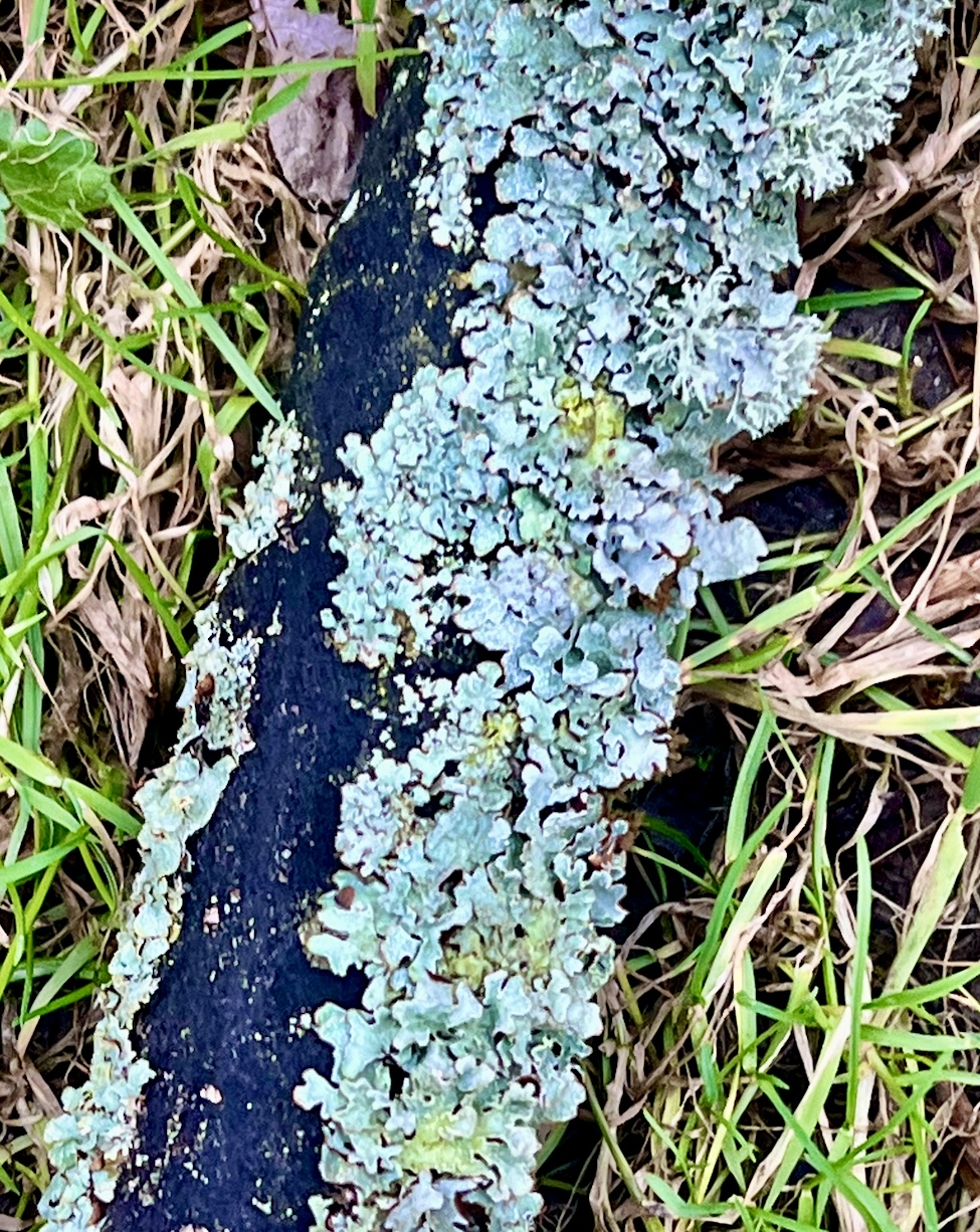 Attending to what holds on