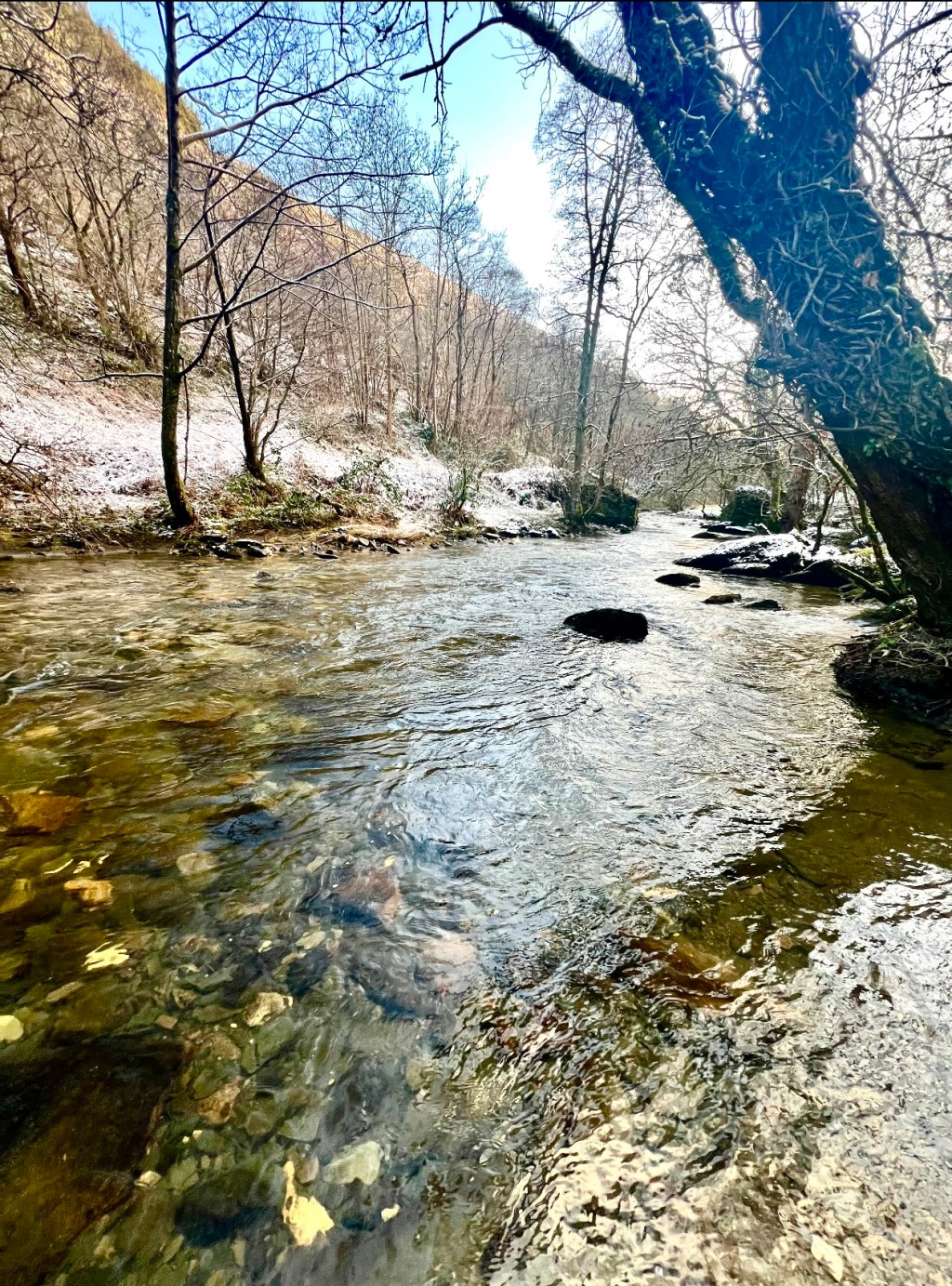 Awe (Learning to Be Outpaced)