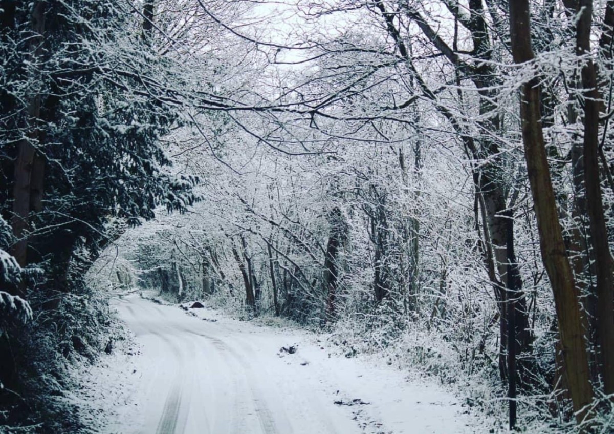 When the Lane Holds Its&nbsp;Breath