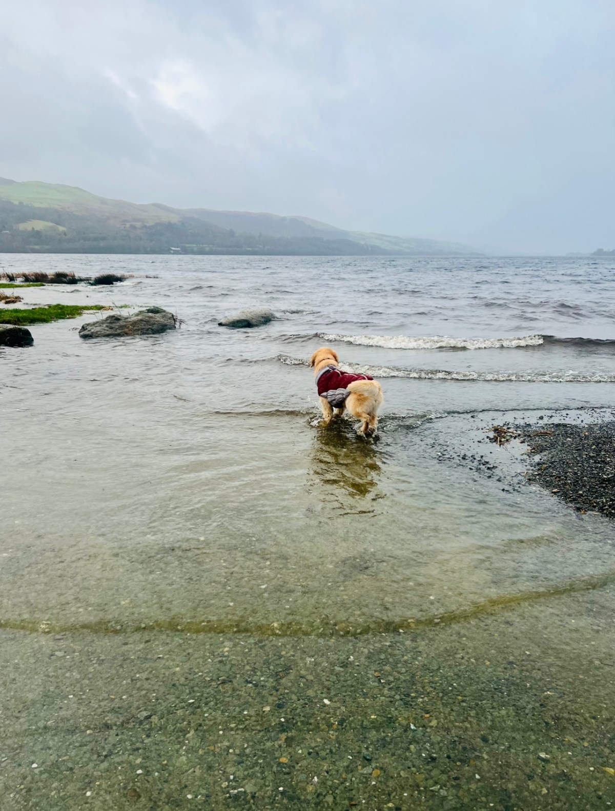 Where the Lake Keeps Its&nbsp;Counsel