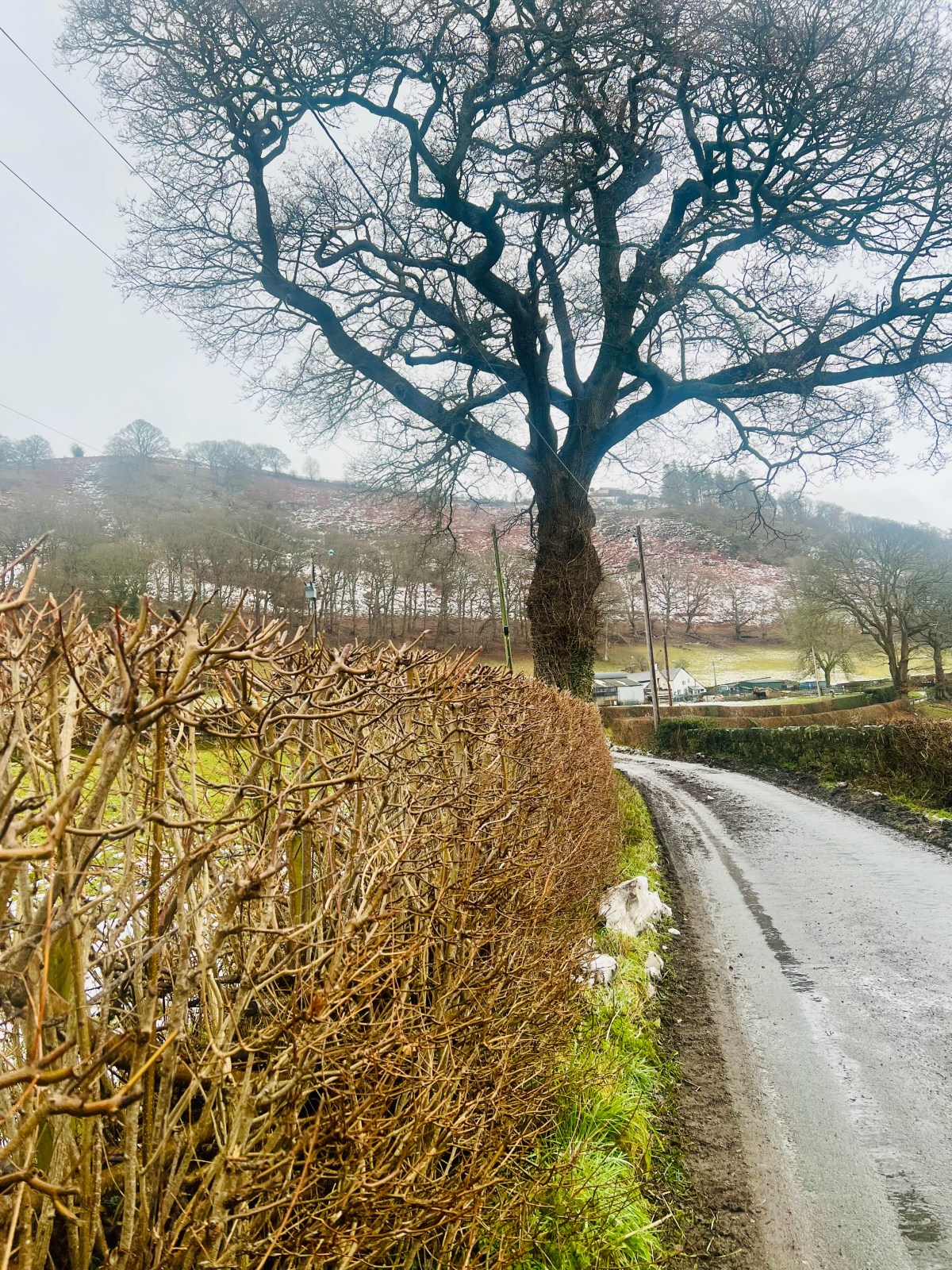 Learning to See Again: Why Contemplative Art Still&nbsp;Matters