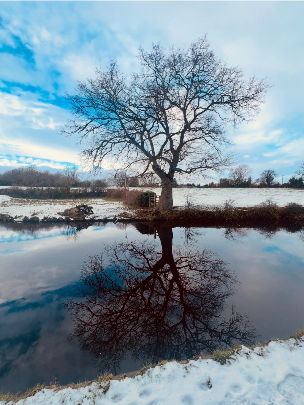 At the Hour the World&nbsp;Softens