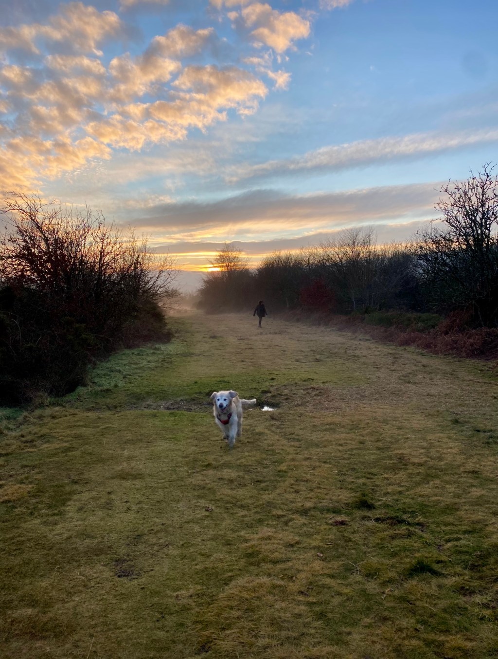 When the Light&nbsp;Loosens