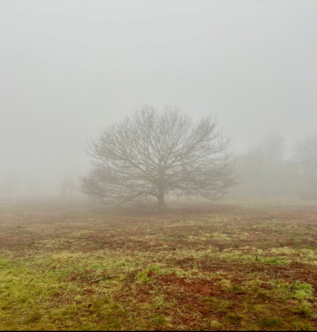 The Quiet Fear Young People Are&nbsp;Carrying
