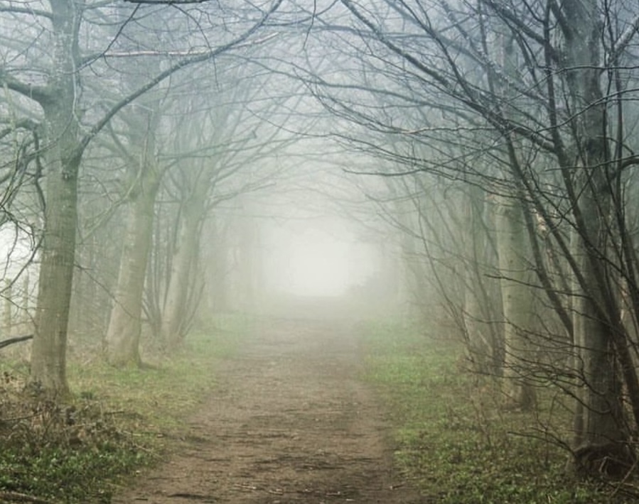 Observe Your Thoughts