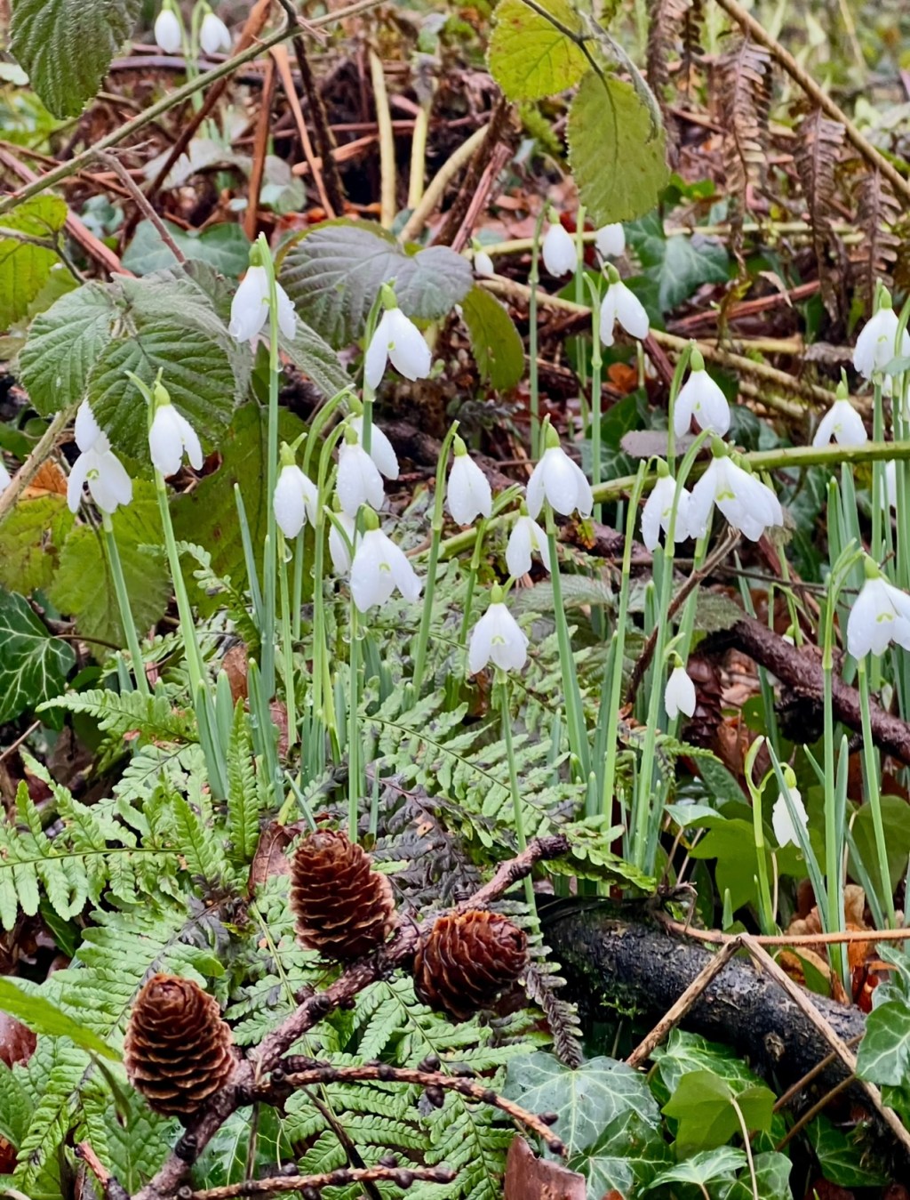 The Work Beneath the&nbsp;Surface