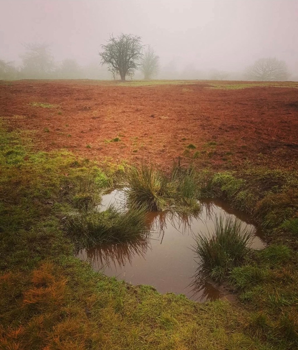 The Extinction of Attention: Why We Are Losing the World Without Realising&nbsp;It