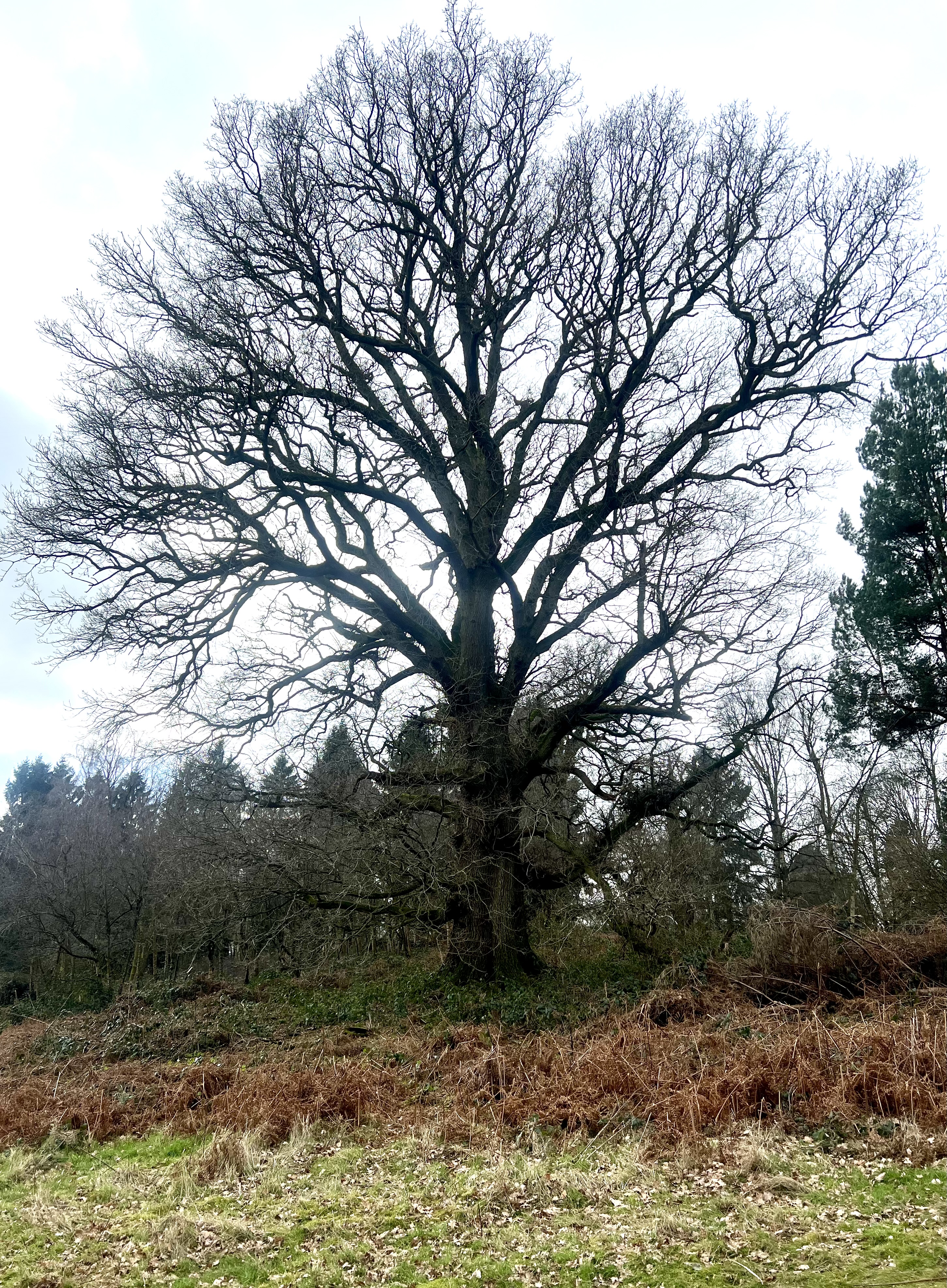 To Stand Still Long Enough