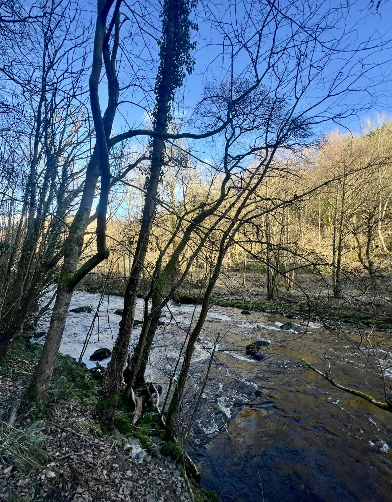 Where the Light Crosses Water