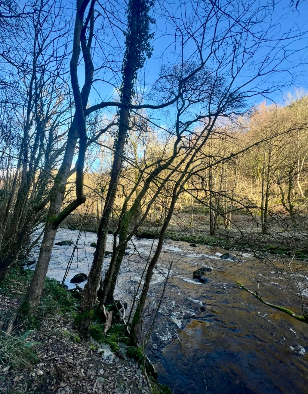 Where the Light Crosses&nbsp;Water